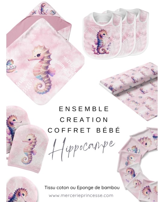 Ensemble Hippocampe pour...