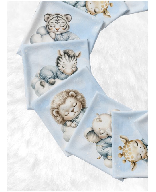 Panneau Lingettes Cloudy...