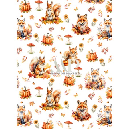 Tissu coton Renard et Ecureuil d'automne enfant Oeko-Tex®