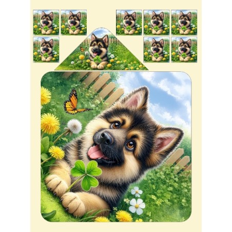 Cape de Bain Petit Berger