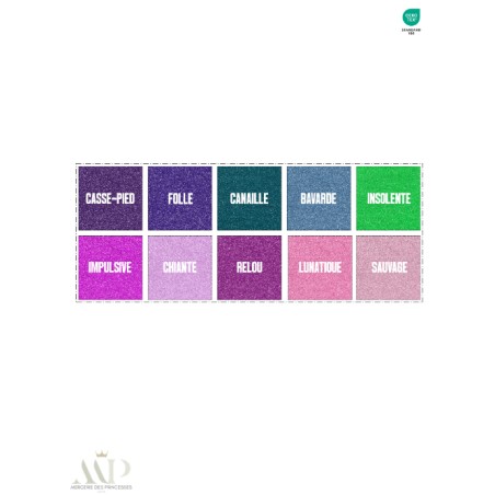 Panneau Lingettes Lavables Messages Impertinents Pailletés – DIY Couture Beauté – Lingettes Démaquillantes à Coudre