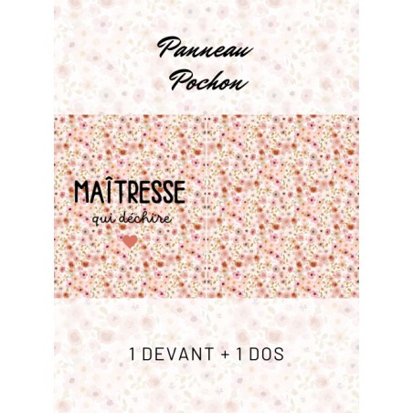 Panneau Pochon Maitresse Qui Déchire