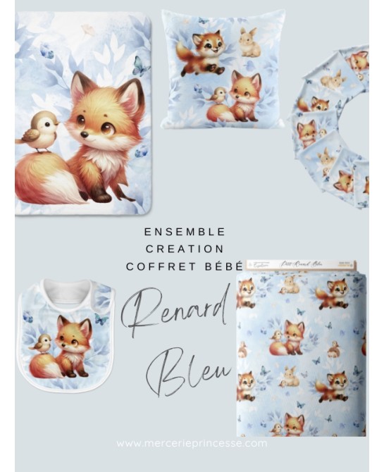Ensemble Renard Bleu pour...