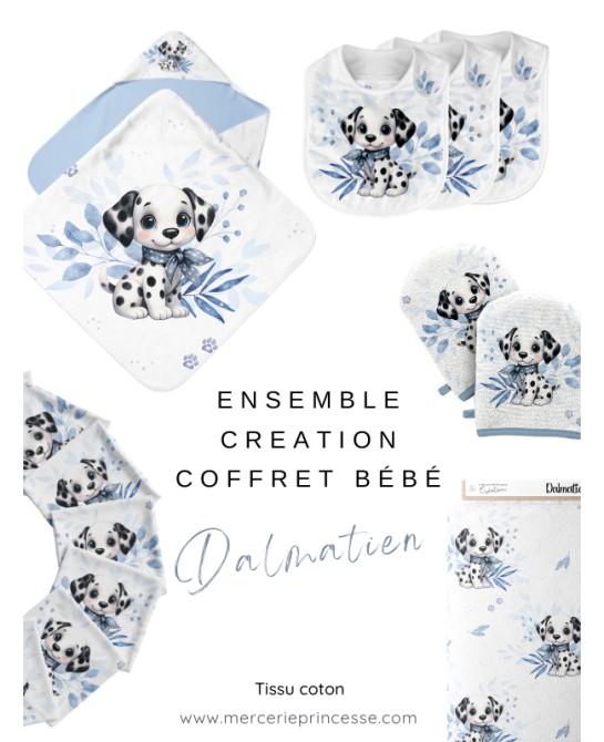 Ensemble Dalmatien pour...