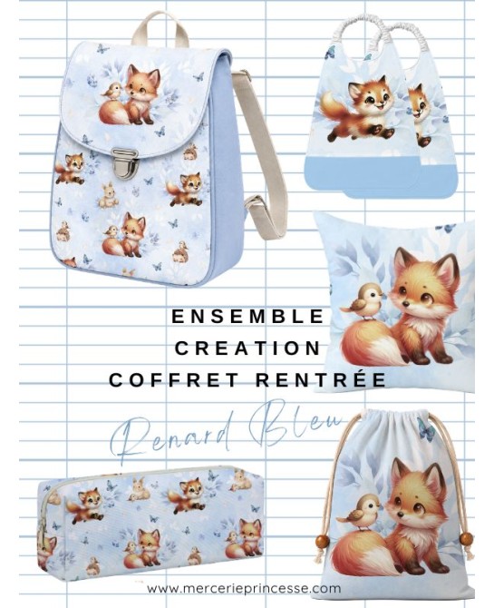 Ensemble Renard Bleu pour...