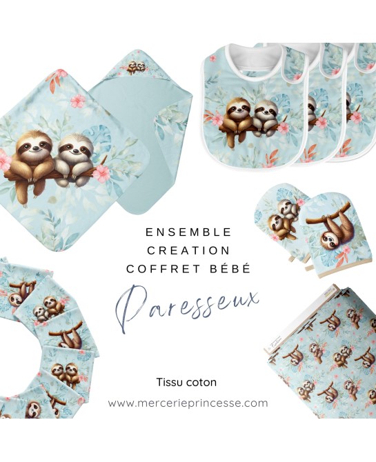 Ensemble paresseux pour...